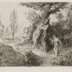 FVR-KXR-cuivre-Faunes et nymphes dans un chemin forestier