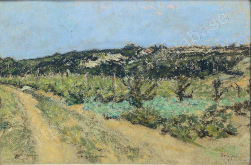 FVR KXR - pastel - vignes dans le jura