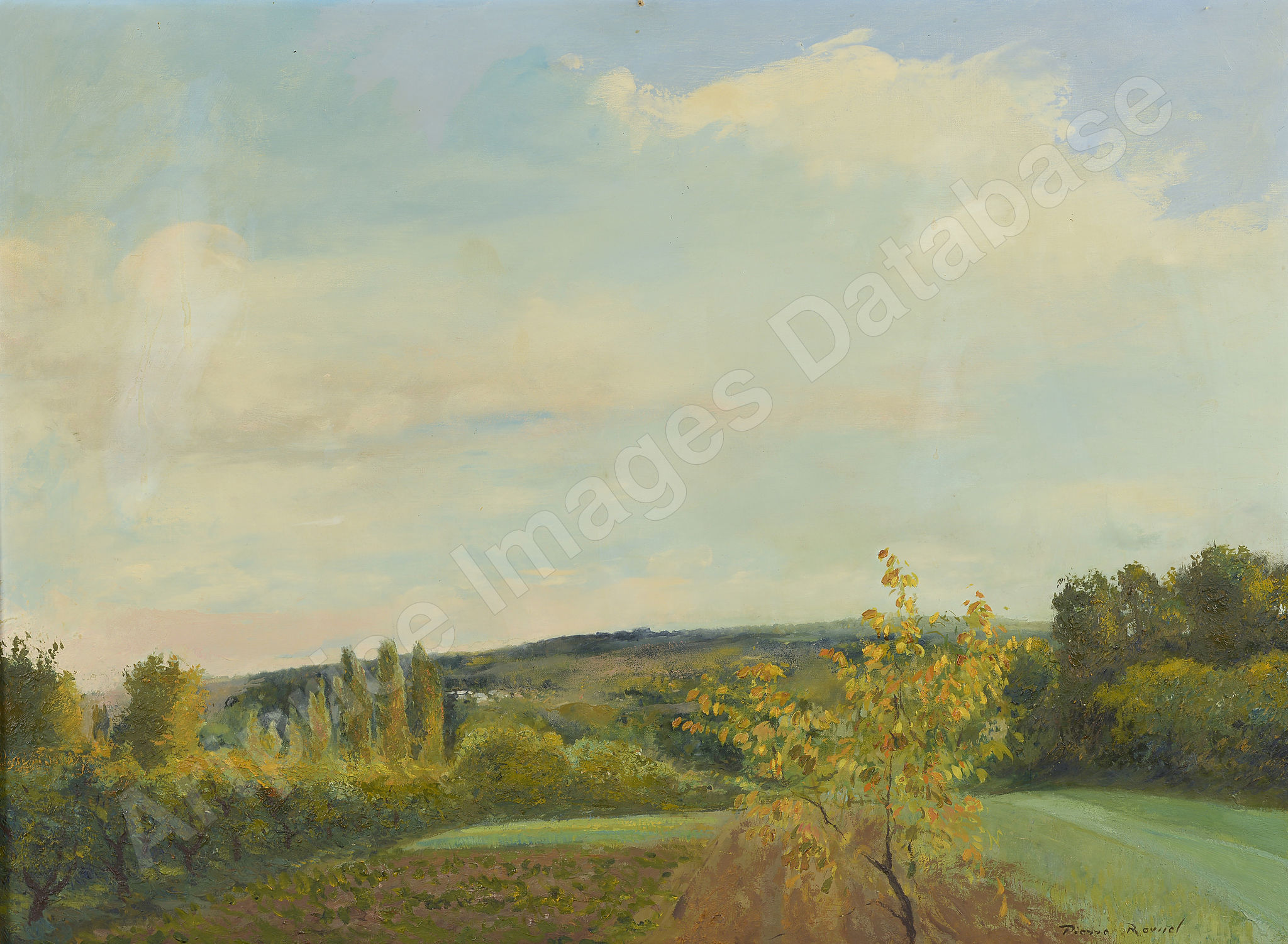 FVR PR - huile -verger en fleurs