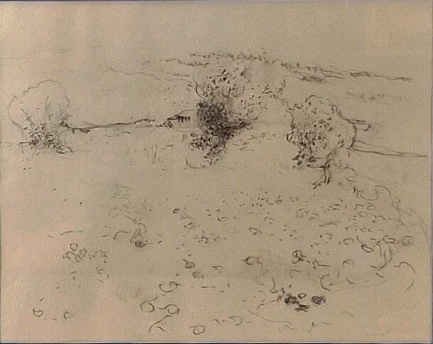 FVR - PR - dessin - paysage