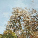 FVR - PR - huile jacannette vue du bas du jardin detail le vieux poirier