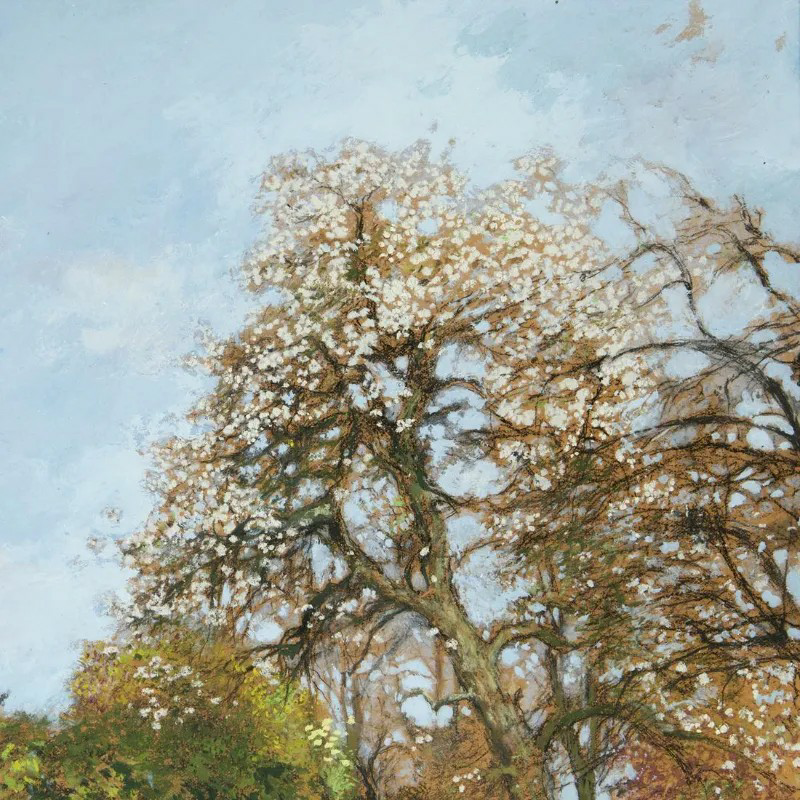 FVR - PR - huile jacannette vue du bas du jardin detail le vieux poirier